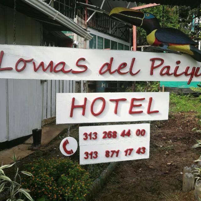 Puerto Nariño Hotel Lomas Del Paiyue מראה חיצוני תמונה